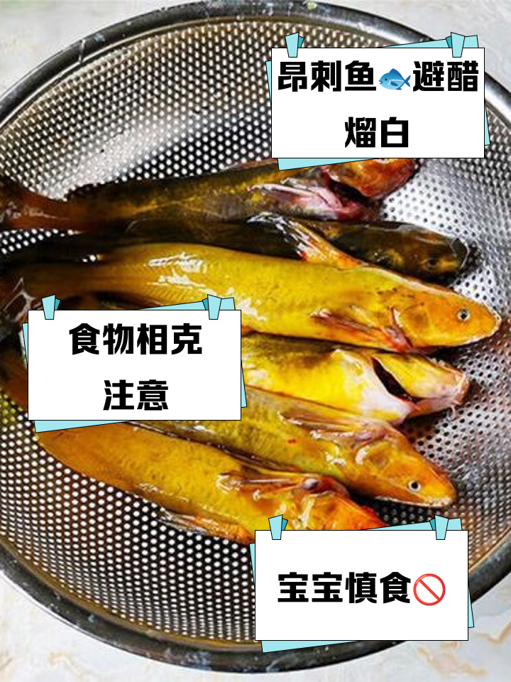昂刺鱼的营养价值